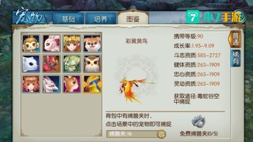 诛仙手游稀有宠物